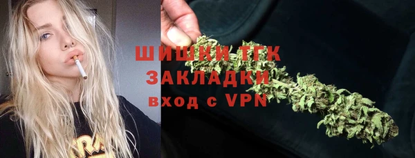 дмт Белокуриха