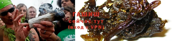 spice Богородицк