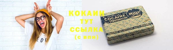 ешки Богданович