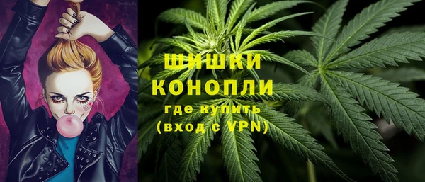 spice Богородицк