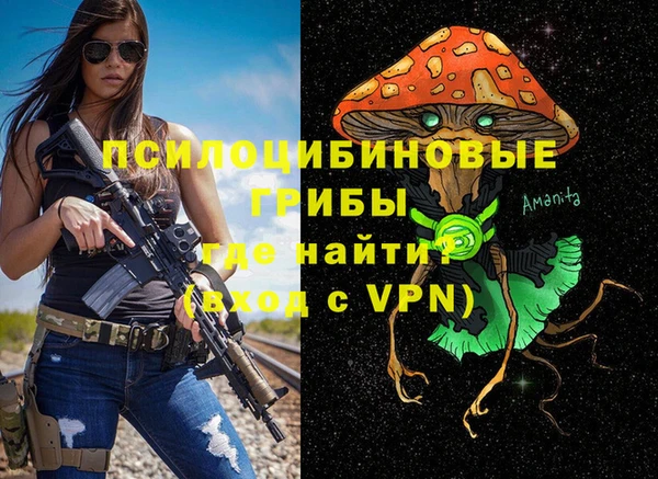 spice Богородицк